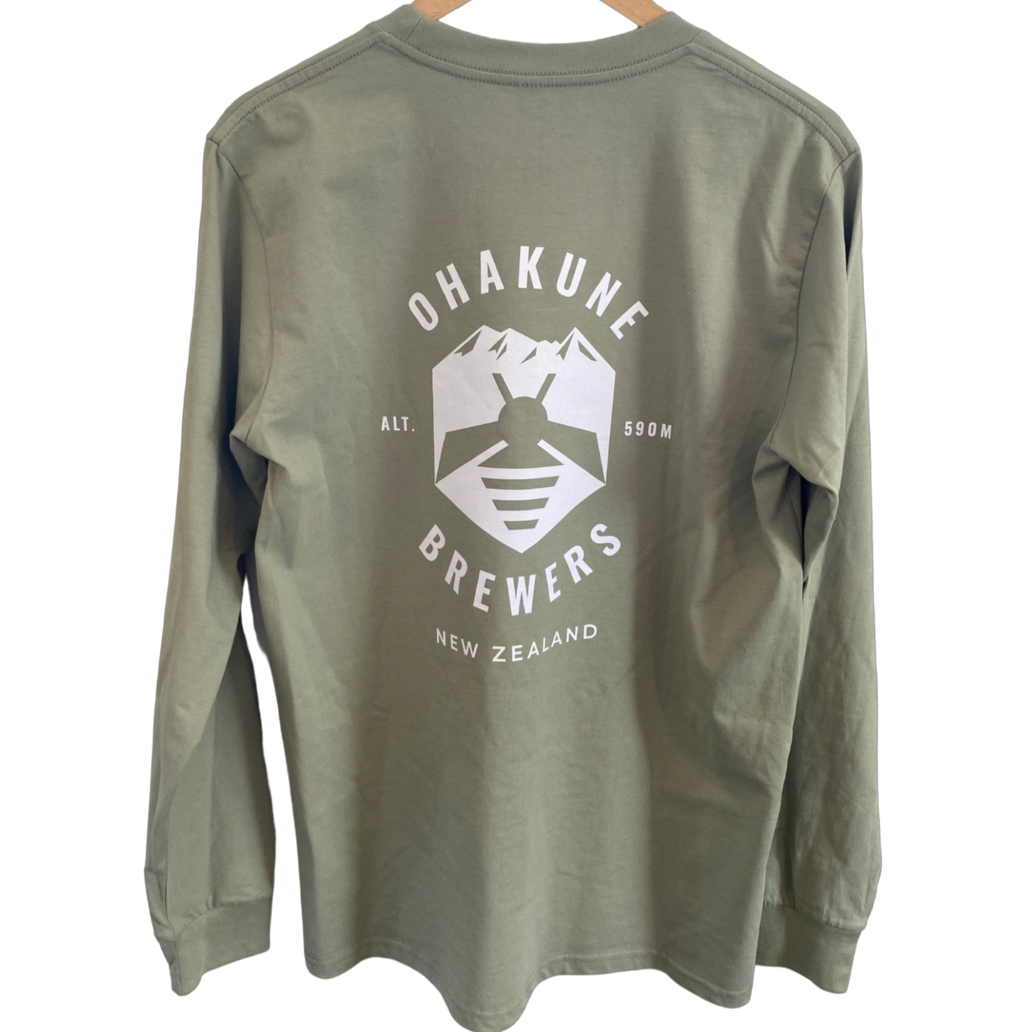 Big Mountain Mead Long Sleeved Tee in pistachio/light green- back
